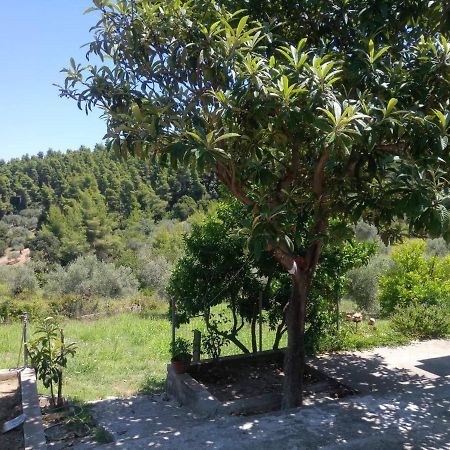 Wildherb House Agriovotano Εξωτερικό φωτογραφία