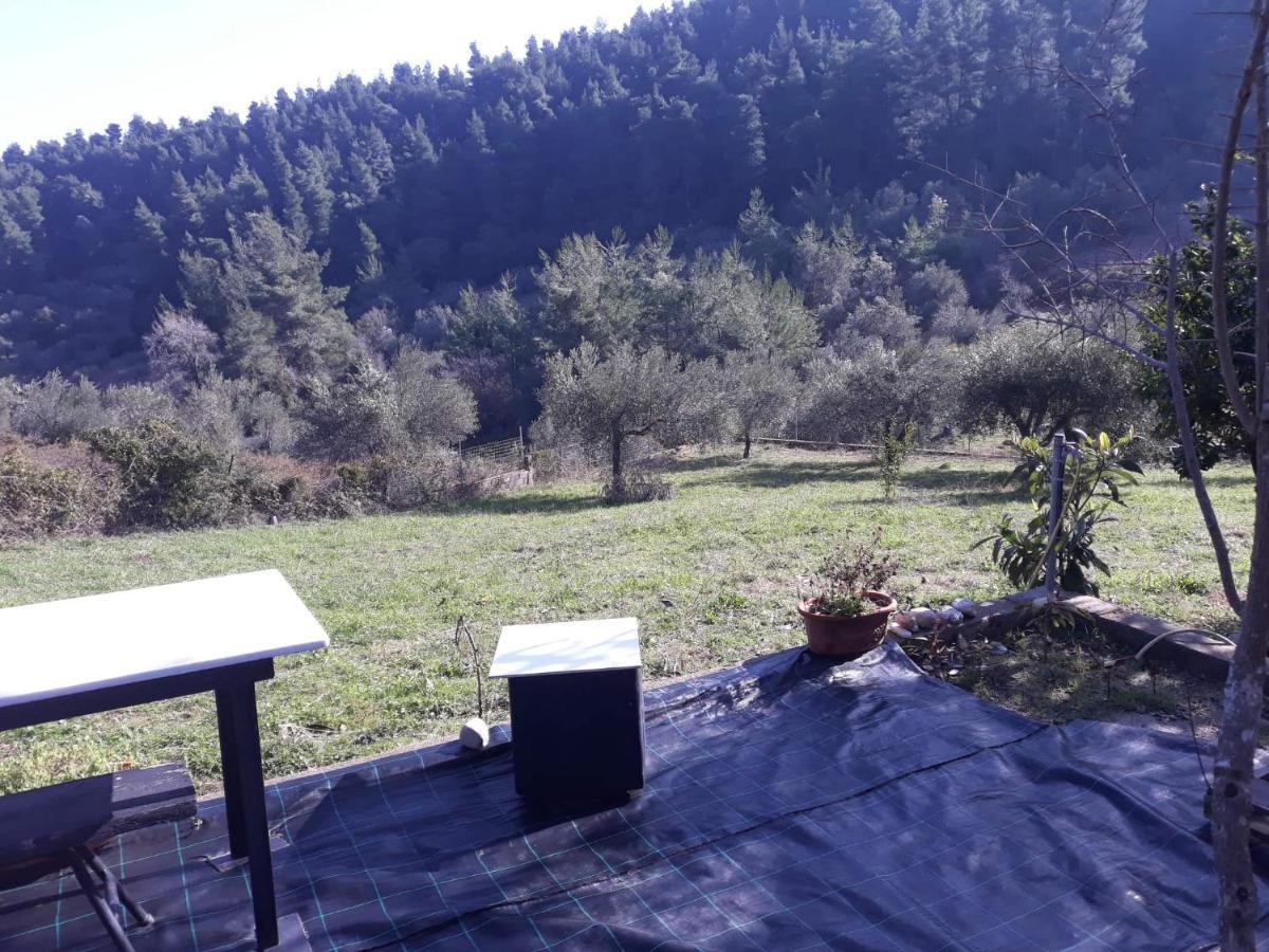 Wildherb House Agriovotano Εξωτερικό φωτογραφία
