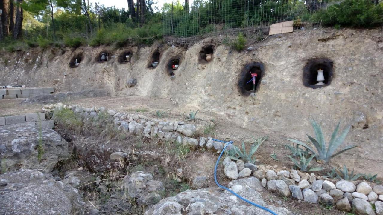 Wildherb House Agriovotano Εξωτερικό φωτογραφία