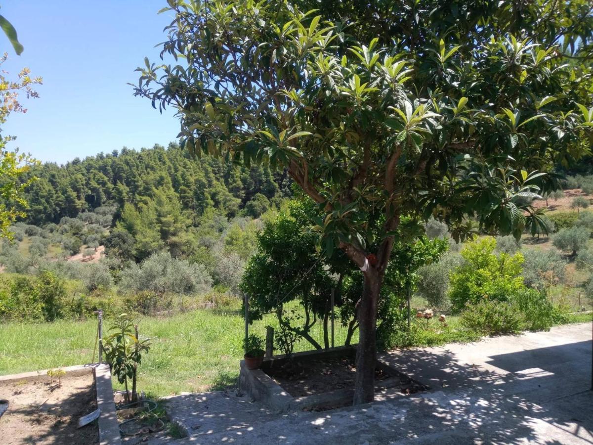 Wildherb House Agriovotano Εξωτερικό φωτογραφία